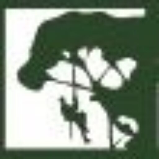 Aivys Baumpflege Service